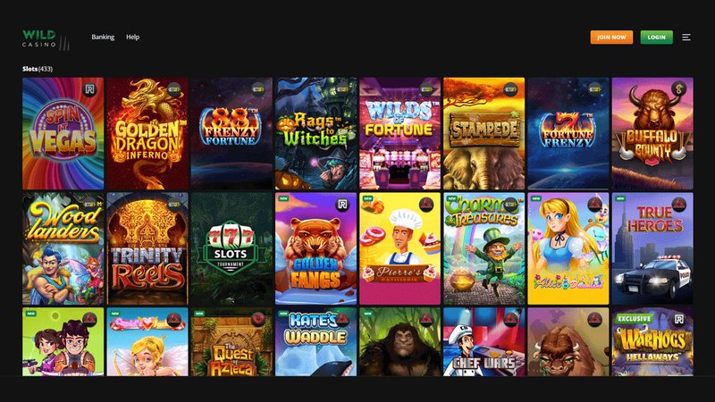 Discover the World of Wildrobin Casino - Global Gaming Experience Awaits